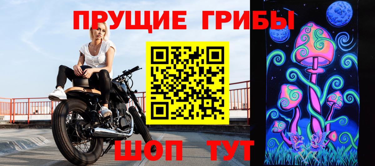 Пугачёв  продажа наркотиков  Галлюциногенные грибы Cubensis  Вход с VPN  Галлюциногенные грибы Psilocybine cubensis 