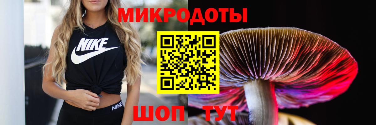 Псилоцибиновые грибы мицелий Пугачёв